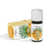Limonlu Melisa (Zitronen Melisse) 10ML
