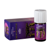 Seduction 5ML